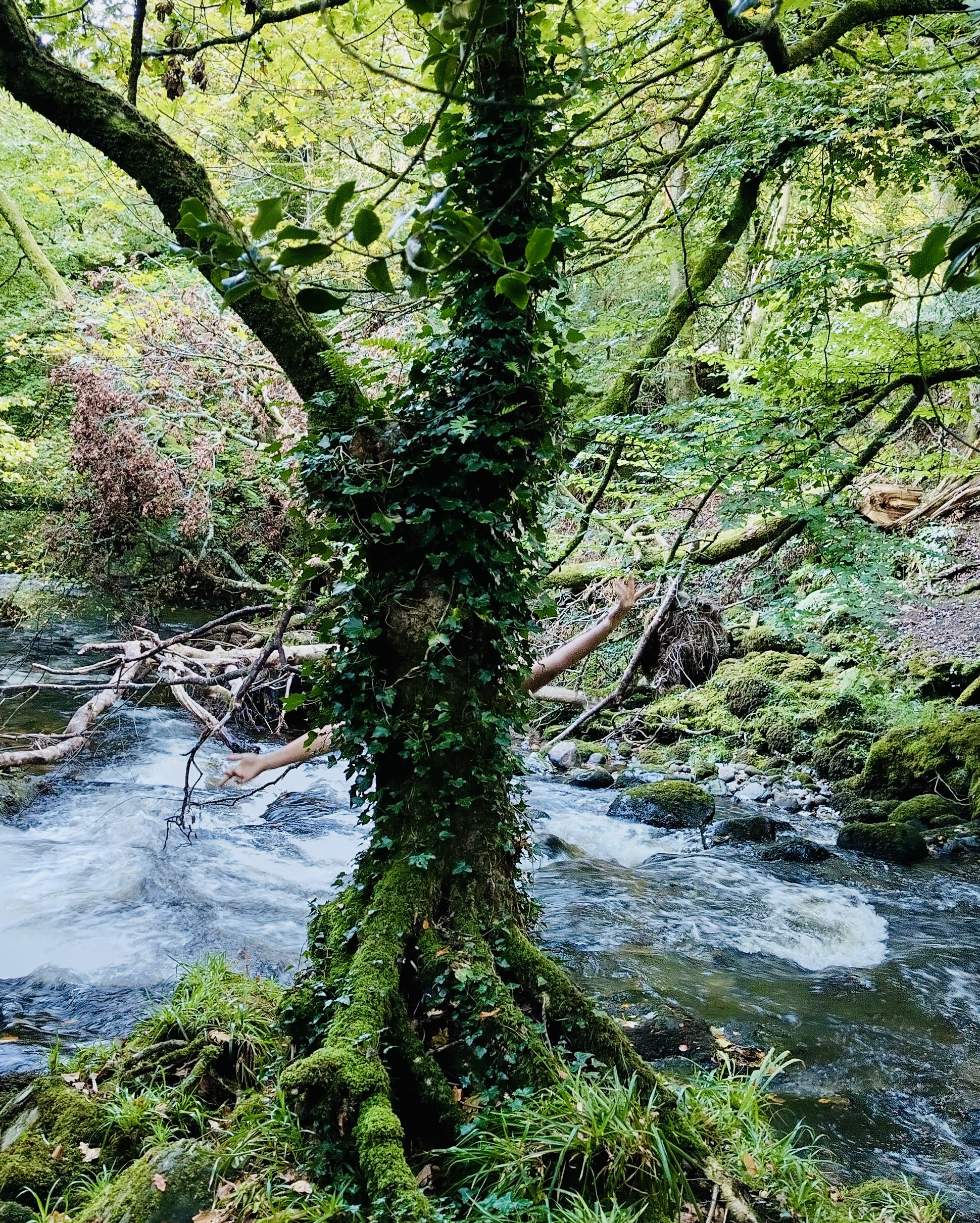 Where we get lost in each other we deeply reborn …