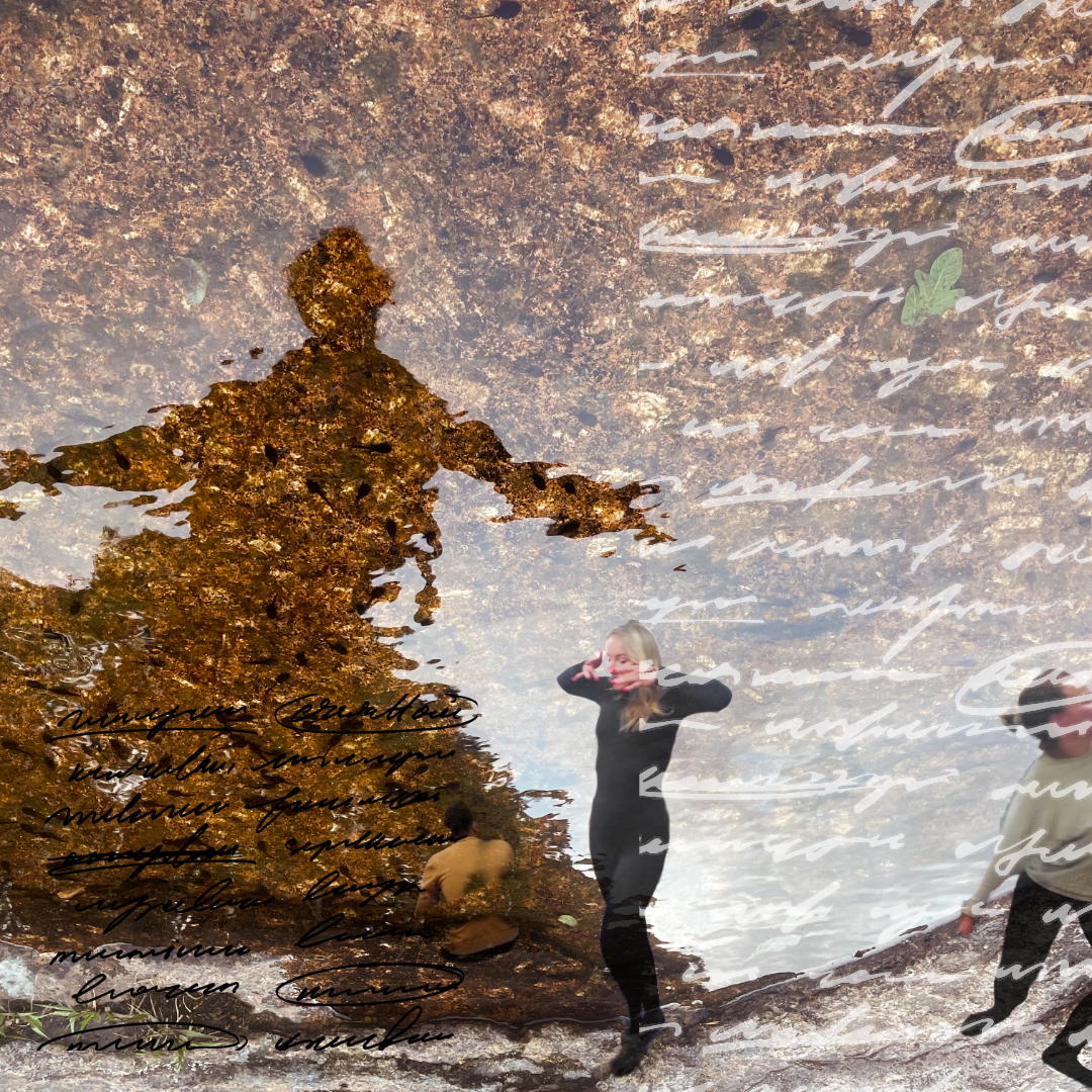 Relfection of a body and leafs on a wather; bodies are sensing the poems, words and some moving though space